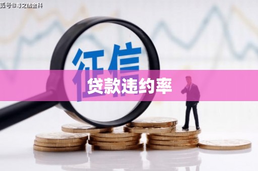 谢家集贷款违约率