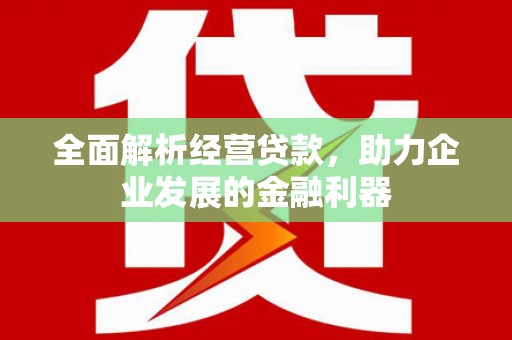 谢家集全面解析经营贷款，助力企业发展的金融利器