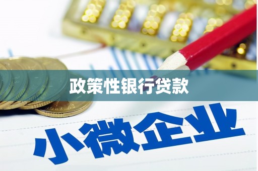 谢家集政策性银行贷款