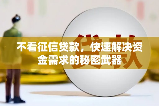 谢家集不看征信贷款，快速解决资金需求的秘密武器