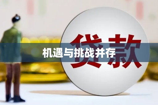 谢家集机遇与挑战并存