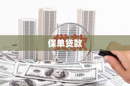 谢家集保单贷款