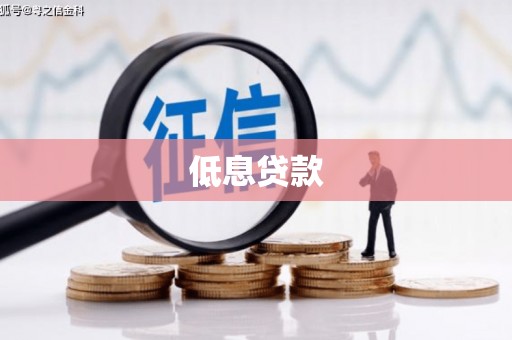 谢家集低息贷款