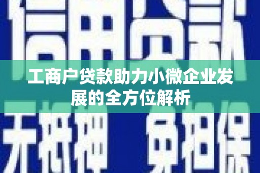 谢家集工商户贷款助力小微企业发展的全方位解析