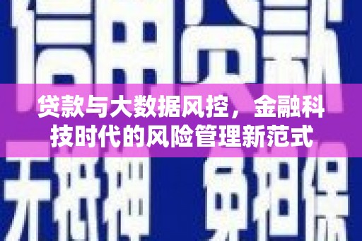 谢家集贷款与大数据风控，金融科技时代的风险管理新范式
