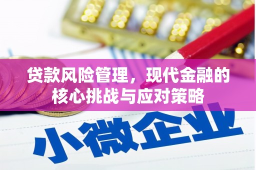 谢家集贷款风险管理，现代金融的核心挑战与应对策略