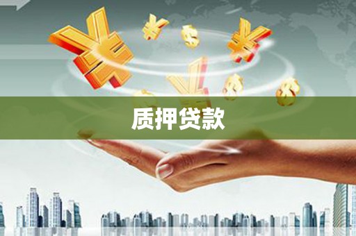谢家集质押贷款
