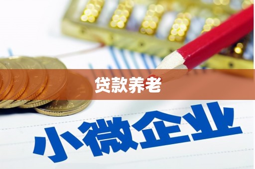 谢家集贷款养老