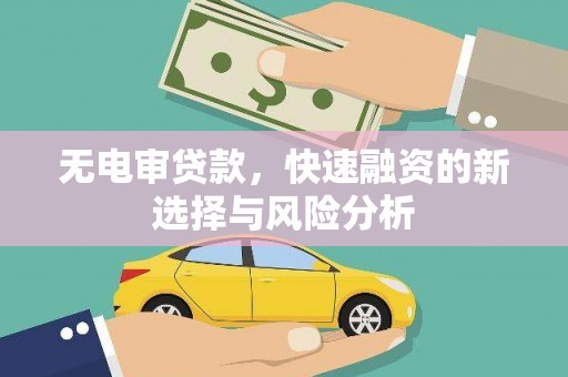 谢家集无电审贷款，快速融资的新选择与风险分析