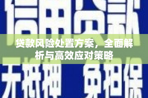 谢家集贷款风险处置方案，全面解析与高效应对策略