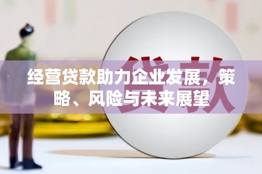 谢家集经营贷款助力企业发展，策略、风险与未来展望