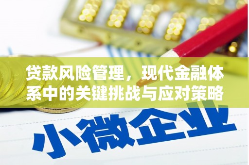 谢家集贷款风险管理，现代金融体系中的关键挑战与应对策略