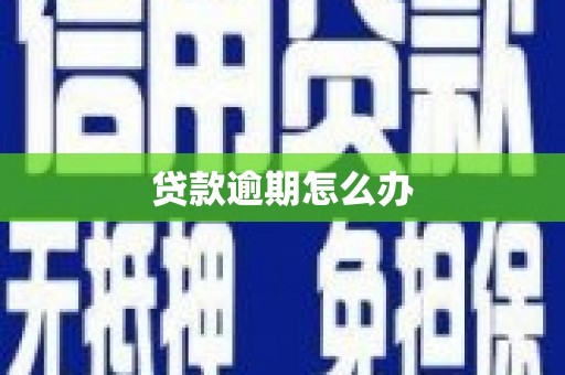 谢家集贷款逾期怎么办