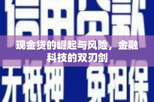 谢家集现金贷的崛起与风险，金融科技的双刃剑