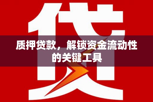 谢家集质押贷款，解锁资金流动性的关键工具