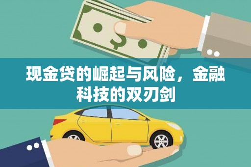 谢家集现金贷的崛起与风险，金融科技的双刃剑