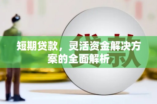 谢家集短期贷款，灵活资金解决方案的全面解析