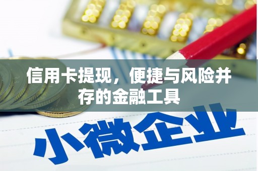 谢家集信用卡提现，便捷与风险并存的金融工具