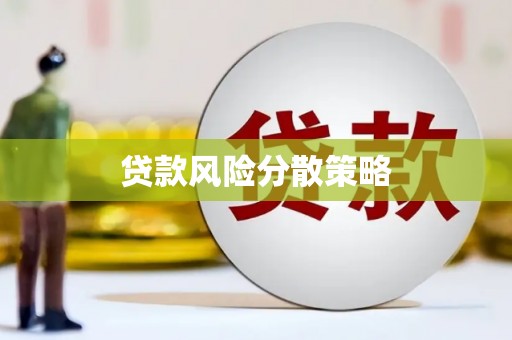谢家集贷款风险分散策略