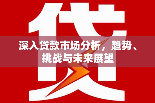 谢家集深入贷款市场分析，趋势、挑战与未来展望