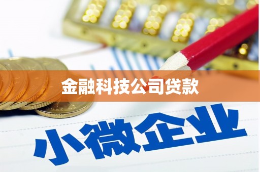 谢家集金融科技公司贷款