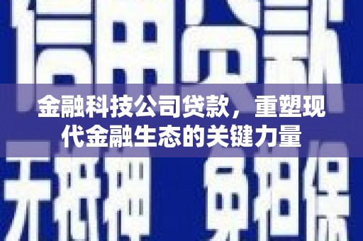 谢家集金融科技公司贷款，重塑现代金融生态的关键力量