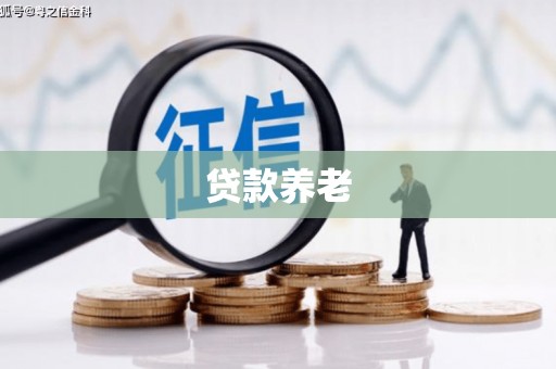谢家集贷款养老
