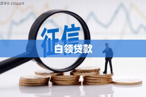 谢家集白领贷款