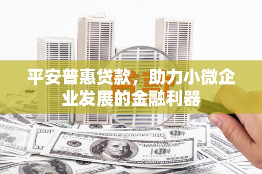 谢家集平安普惠贷款，助力小微企业发展的金融利器