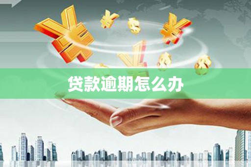 谢家集贷款逾期怎么办