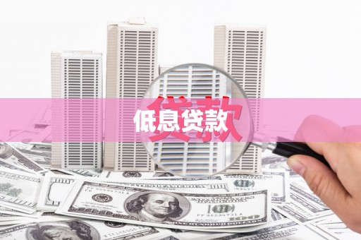 谢家集低息贷款