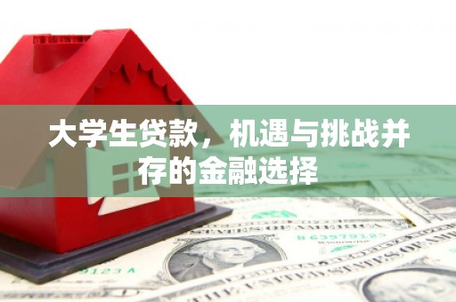 谢家集大学生贷款，机遇与挑战并存的金融选择