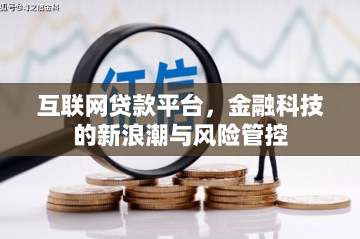 谢家集互联网贷款平台，金融科技的新浪潮与风险管控