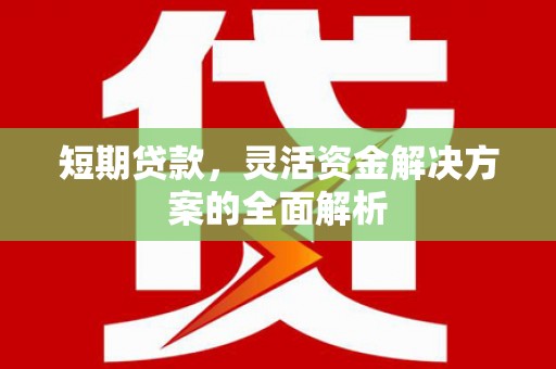谢家集短期贷款，灵活资金解决方案的全面解析