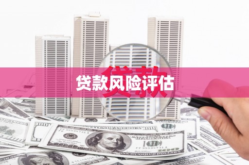 谢家集贷款风险评估