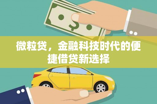 谢家集微粒贷，金融科技时代的便捷借贷新选择