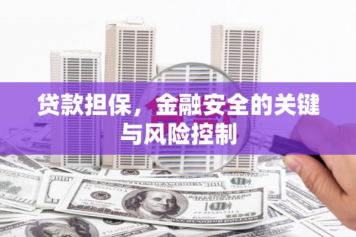 谢家集贷款担保，金融安全的关键与风险控制