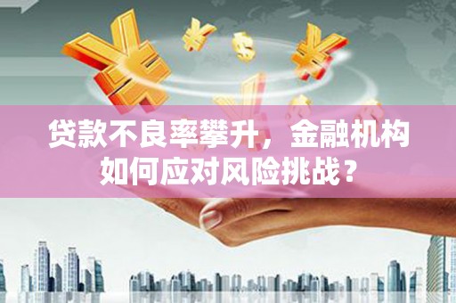 谢家集贷款不良率攀升，金融机构如何应对风险挑战？
