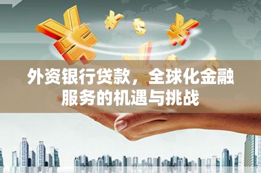 谢家集外资银行贷款，全球化金融服务的机遇与挑战