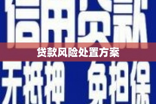 谢家集贷款风险处置方案