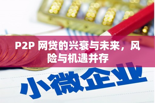 谢家集P2P 网贷的兴衰与未来，风险与机遇并存