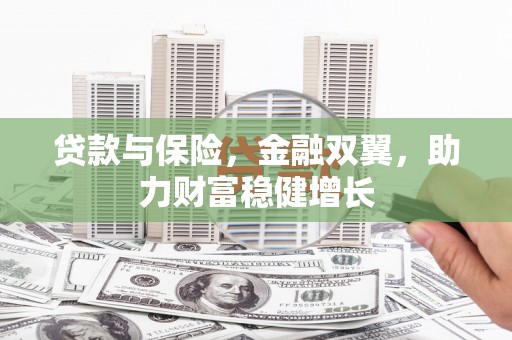 谢家集贷款与保险，金融双翼，助力财富稳健增长