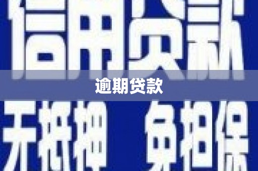 谢家集逾期贷款